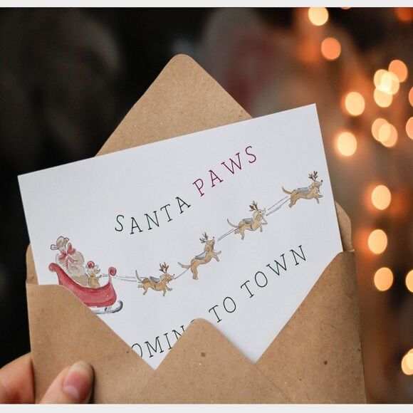 Santa Paws Christmas Cards - Picture 1 of 6